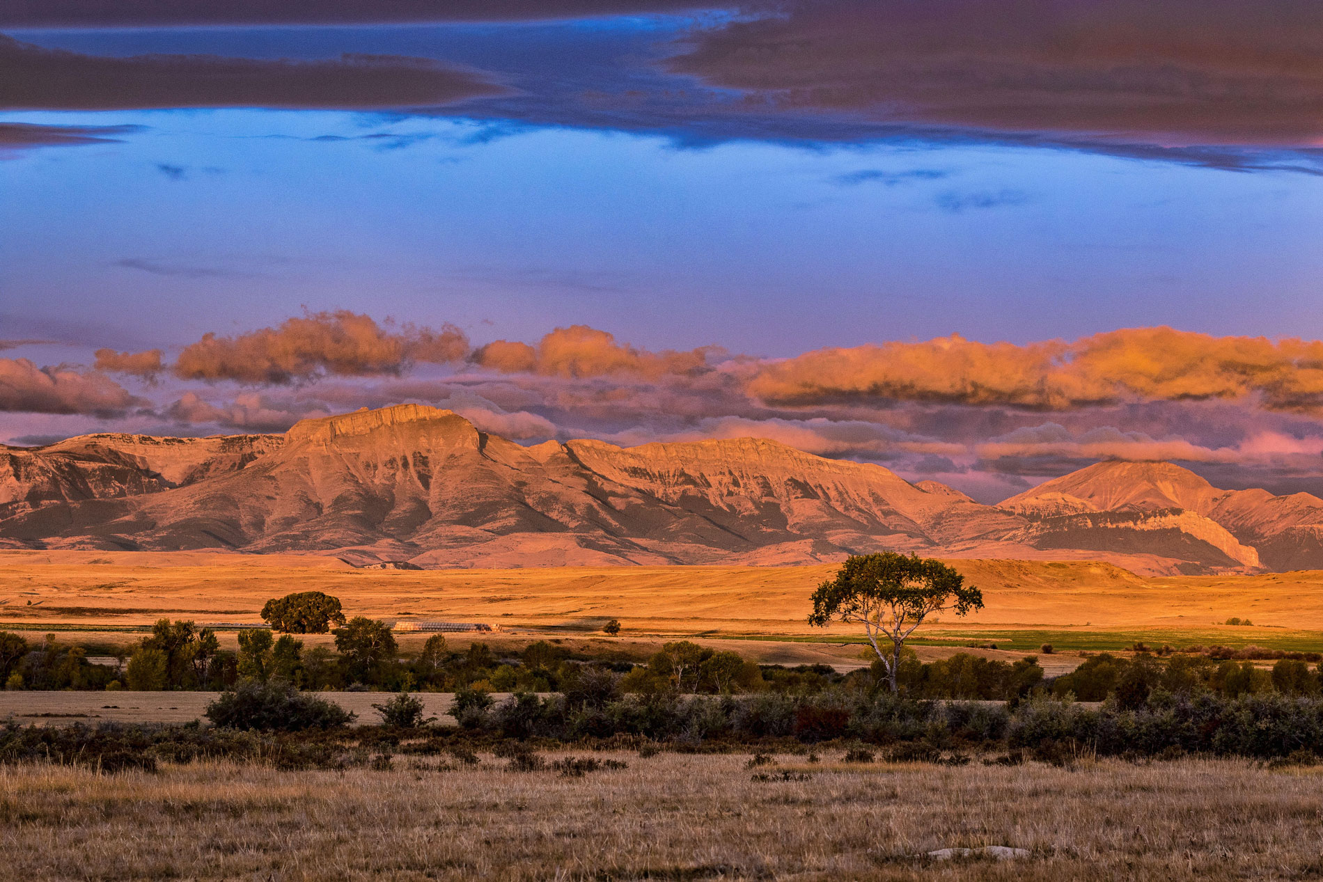 Weather for choteau montana